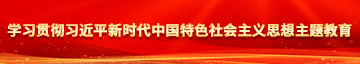 AV射进来学习贯彻习近平新时代中国特色社会主义思想主题教育